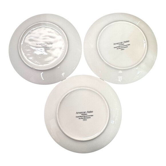 Vintage Racoon Smart Owl Deer Set Of 3 American Atelier Animal Porcelain Plates - Picture 4 of 7